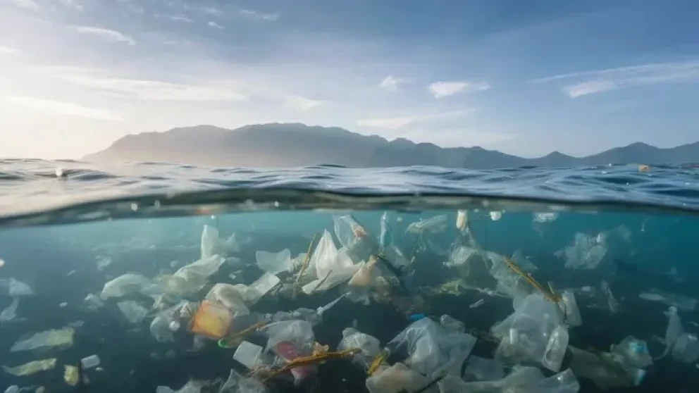 La creación de esta IA nace de la preocupación de limpiar los océanos, para así asegurar un ambiente sano para humanos y animales.