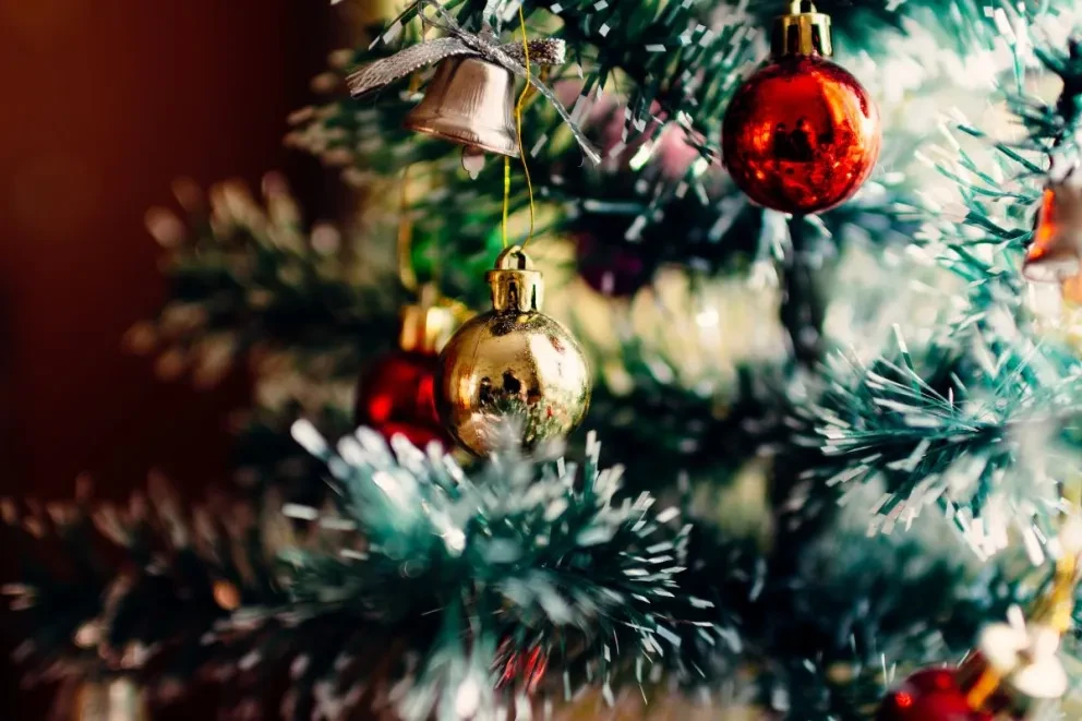 Los villancicos son parte importante de la Navidad en todas partes del mundo, habiendo composiciones tanto en inglés, alemán, francés, portugués, italiano y español.