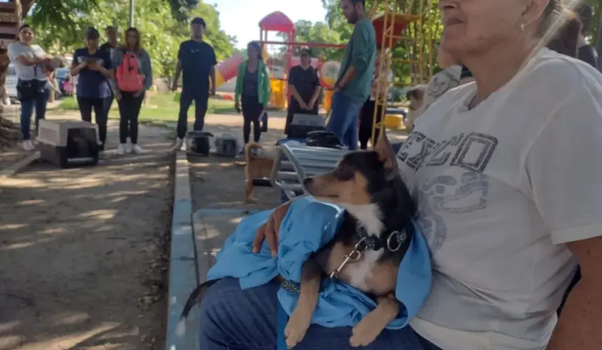 La esterilización es una forma de amor. Ama y cuida a tus mascotas