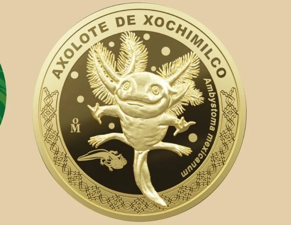 Moneda conmemorativa del ajolote: ¿cuánto cuesta y dónde comprarla?