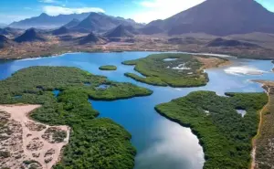 Estero El Soldado en San Carlos, Sonora: Un paraíso natural