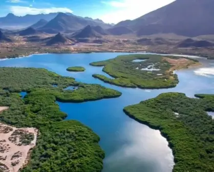 Estero El Soldado en San Carlos, Sonora: Un paraíso natural