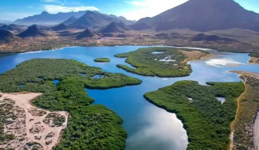 Estero El Soldado en San Carlos, Sonora: Un paraíso natural