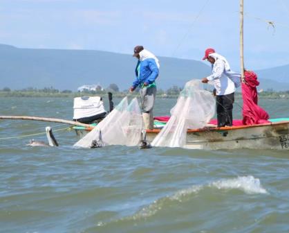 Pesca y Acuacultura Ordenada y Sostenible (Estado de Sinaloa)