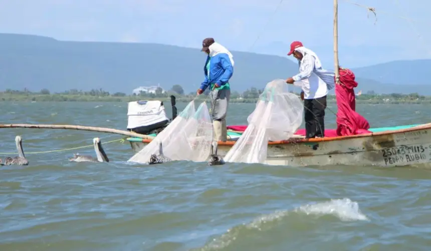 Pesca y Acuacultura Ordenada y Sostenible (Estado de Sinaloa)