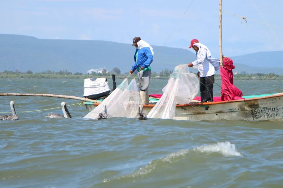 Pesca y Acuacultura Ordenada y Sostenible (Estado de Sinaloa)