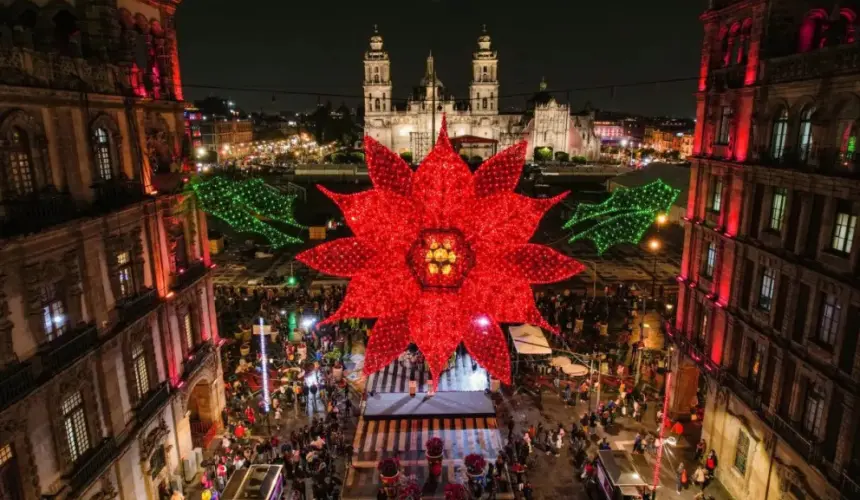 Nochebuenas gigantes adornar el Zócalo de la CDMX; mirá las hermosas fotos.