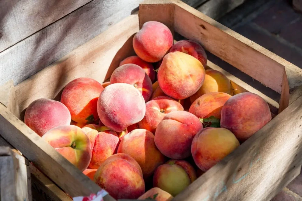Cofepris alerta a ciudanía a no adquirir melocotón, ciruela y nectarina de la marca HMC Farms.