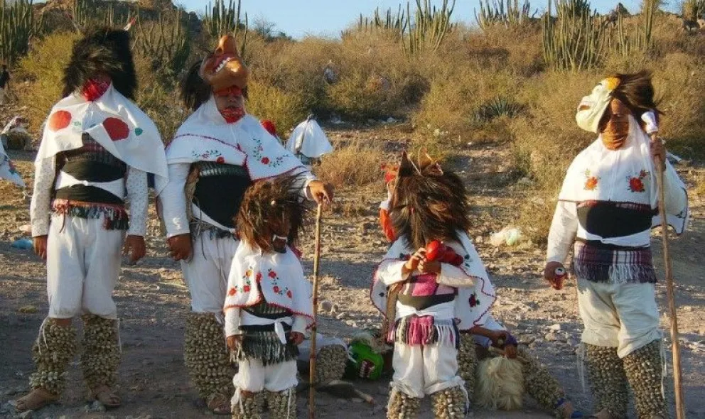 Sopa de letras: ¿Sabes cuáles fueron los pueblos indígenas de Sinaloa?