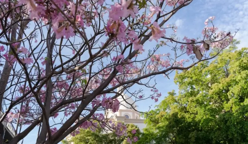 Jardín Botánico Culiacán cuida la naturaleza de la ciudad