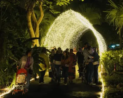 Estas son las nuevas atracciones de Navidad en el Botánico