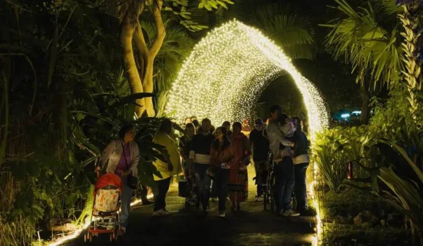 Estas son las nuevas atracciones de Navidad en el Botánico