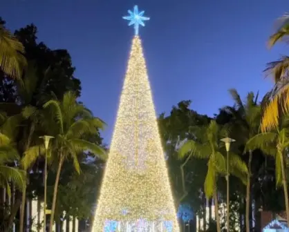 ¿Quiénes tienen entrada gratuita a Navidad en el Botánico?