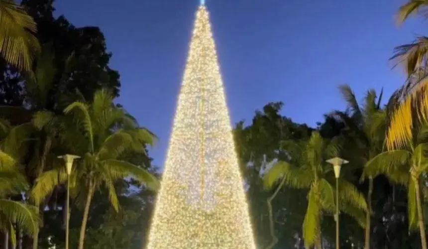 ¿Quiénes tienen entrada gratuita a Navidad en el Botánico?