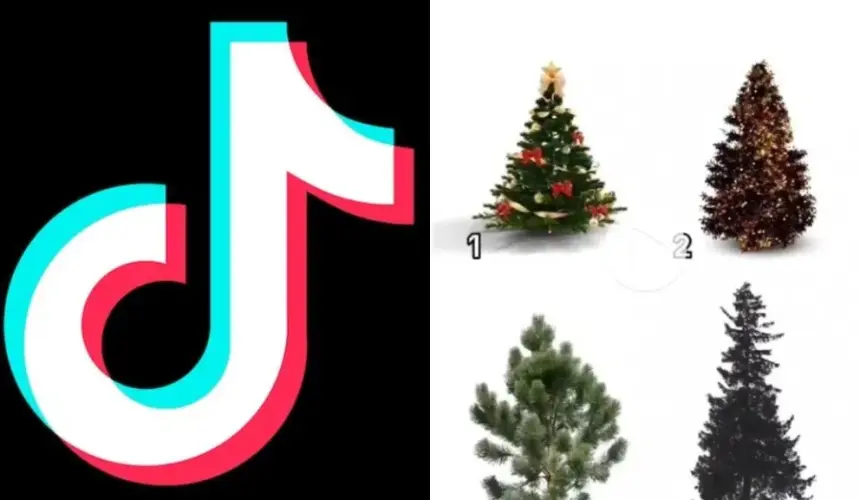 ¿Cómo hacer el trend de arbolito de Navidad con nombre en TikTok?