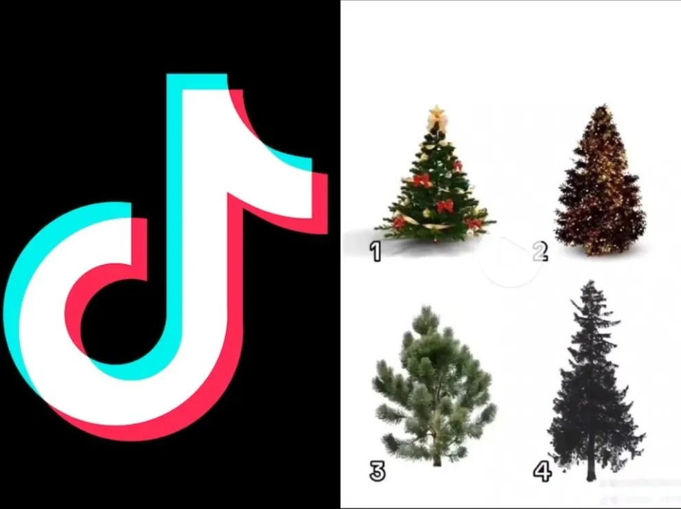 ¿Cómo hacer el trend de arbolito de Navidad con nombre en TikTok?