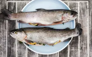 Que no te den gato por liebre ¿Cómo distinguir un bacalao de un tiburón?