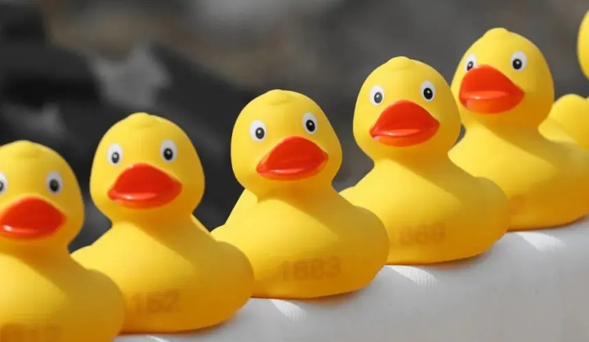 ¿Qué significan los patitos amarillos en la cabeza? La nueva tendencia en TikTok