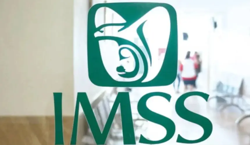 IMSS. Cómo tramitar la vigencia de derechos.