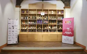 Casa del Queso y el Vino en San Juan del Río, el lugar perfecto para adquirir los productos regionales de Querétaro