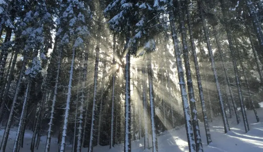 Mensajes o frases para compartir en el Solsticio de invierno.