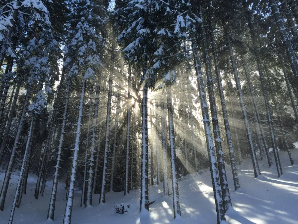 Mensajes o frases para compartir en el Solsticio de invierno.