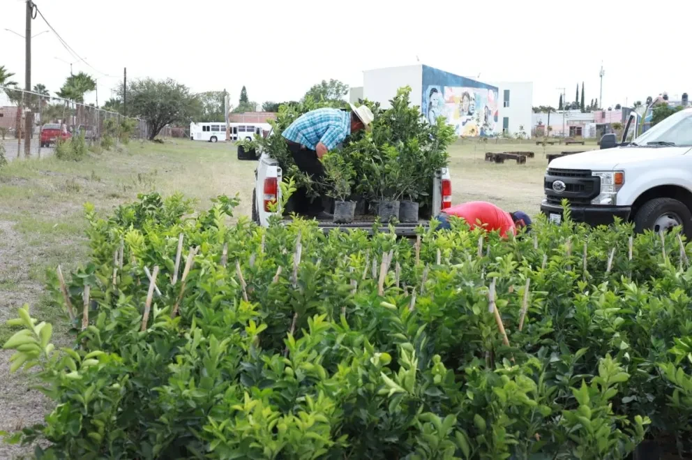 Más de 100 productores recibieron ayuda durante este fin de año, en el municipio de Salamanca. Foto: Cortesía