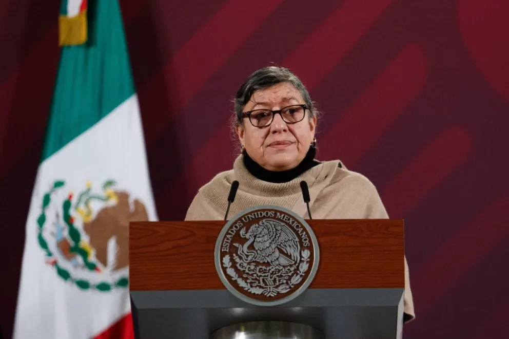 Teresa Guadalupe Reyes Sahagún, titular de la Comisión Nacional de Búsqueda (CNB).