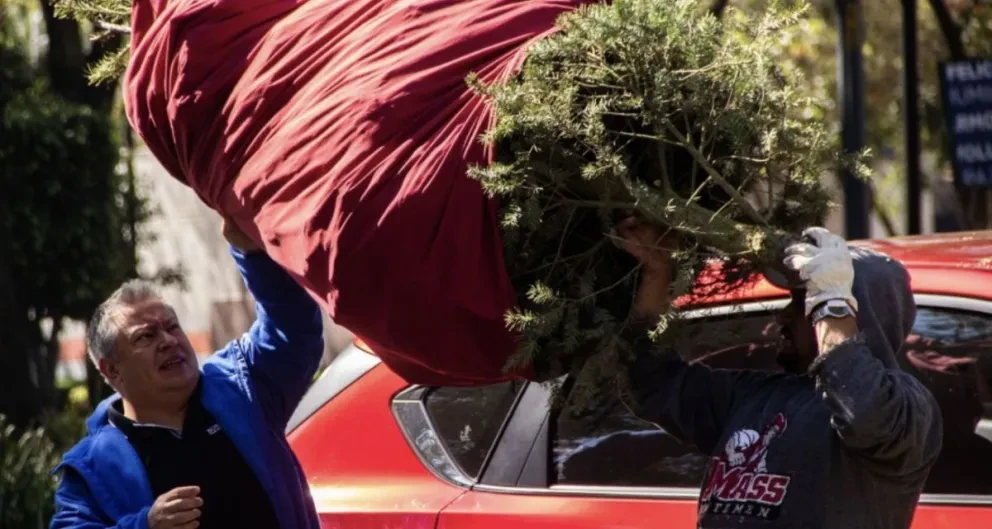 Dónde tirar mi árbol de Navidad en CDMX y EDOMEX.