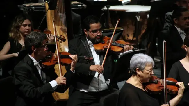 ¿Eres violinista? La OSSLA está solicitando; el sueldo es de $19,599.64