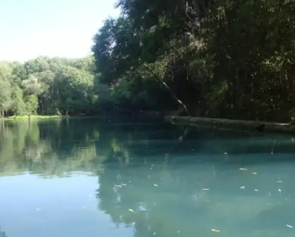 El Bosque de las Truchas: el lugar perfecto para descansar en familia en Hidalgo