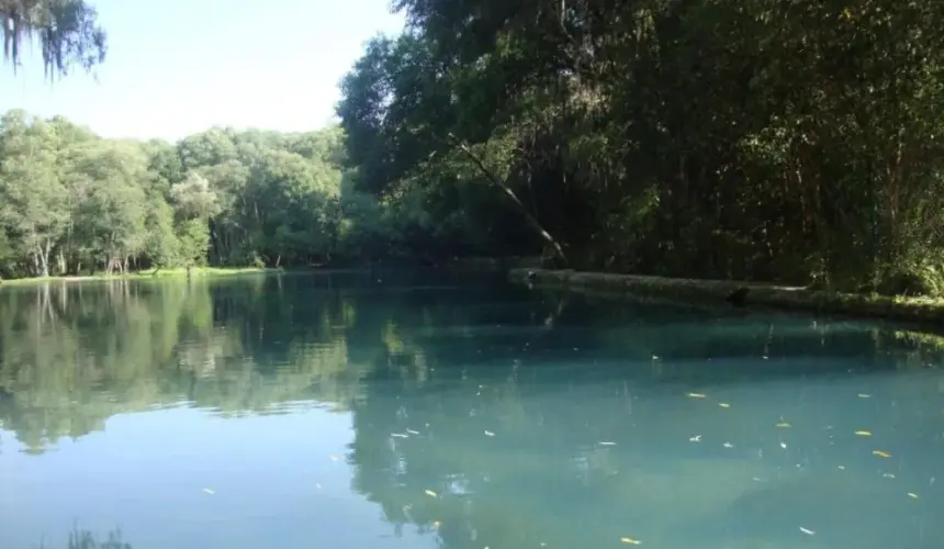 El Bosque de las Truchas: el lugar perfecto para descansar en familia en Hidalgo