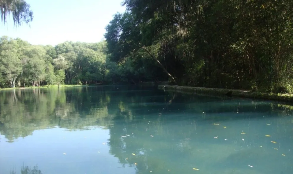 El Bosque de las Truchas: el lugar perfecto para descansar en familia en Hidalgo