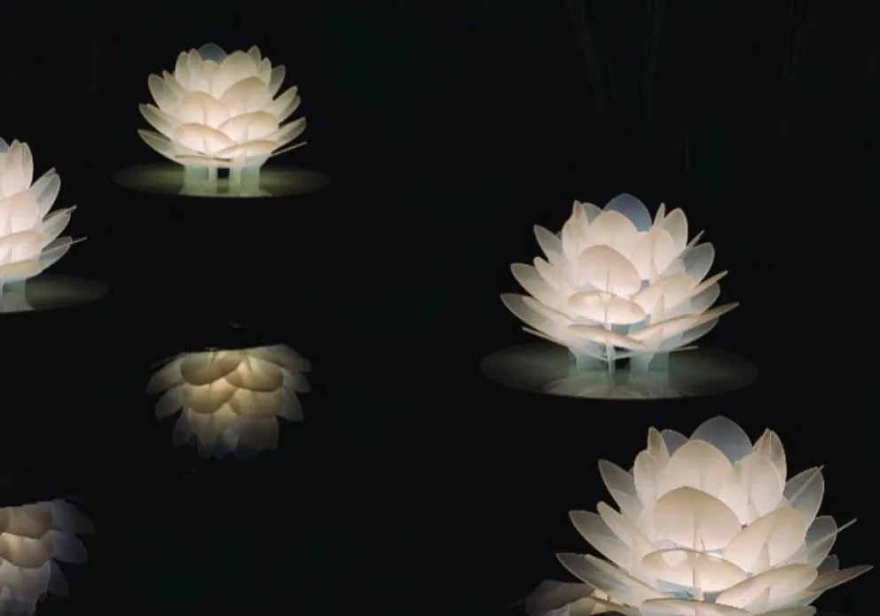 Un año más, las luces iluminaron el Jardín Botánico