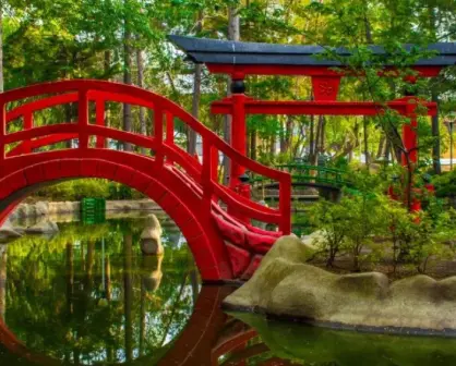 Jardín Japonés: Serenidad, Cultura y Naturaleza en CDMX