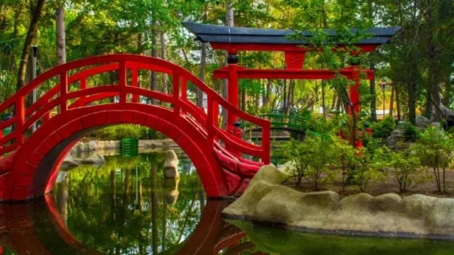Jardín Japonés: Serenidad, Cultura y Naturaleza en CDMX