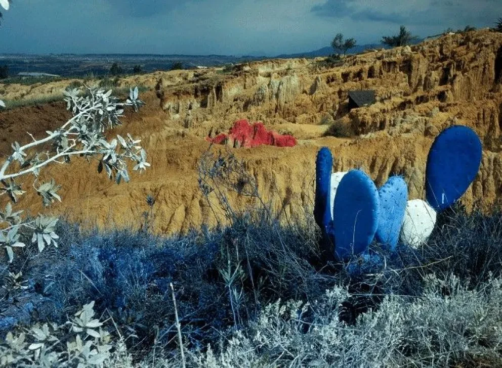 AnimARTE es todo lo que necesitas: Nuevas exposiciones llegan a la Ciudad de México