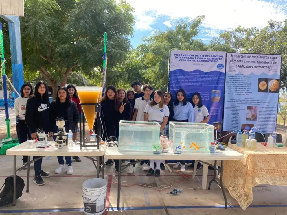 Estudiantes del Cetmar exhiben muestra de proyectos para impulsar sus competencias académicas