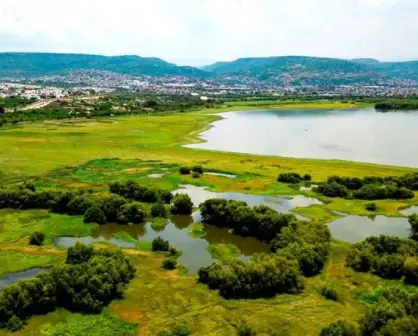 Parque Metropolitano de León, Guanajuato: Belleza y naturaleza en medio de la ciudad