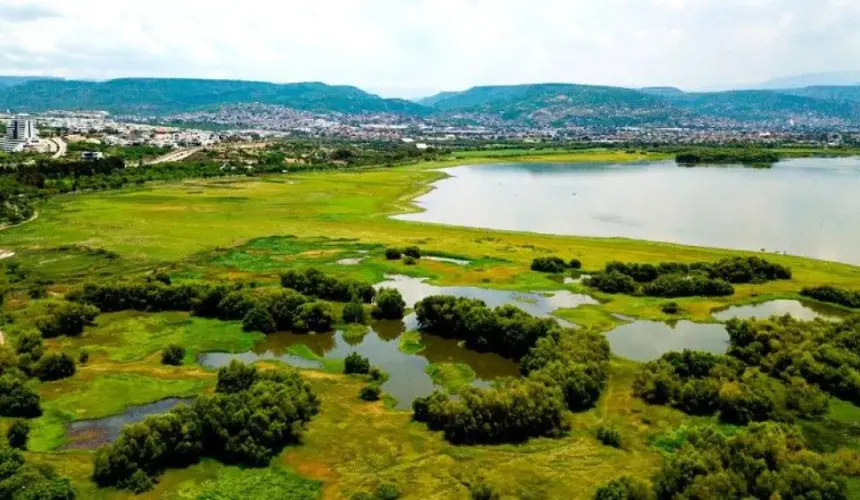 Parque Metropolitano de León, Guanajuato: Belleza y naturaleza en medio de la ciudad