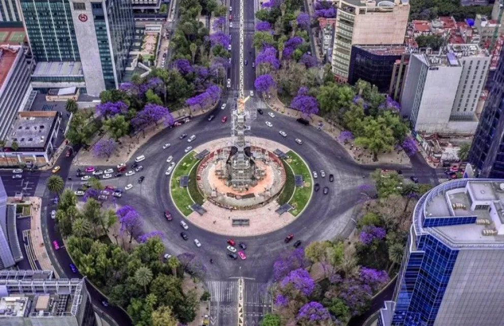 El Cambio Estacional en Reforma y sus bellas postales