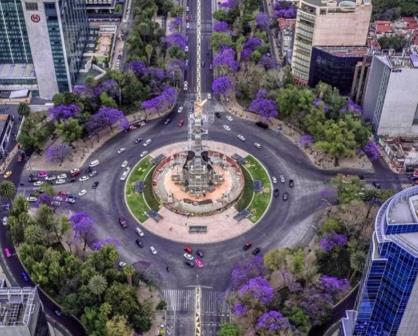El Cambio Estacional en Reforma y sus bellas postales