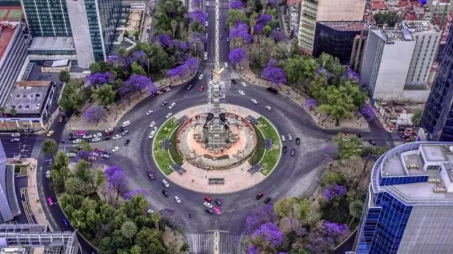 El Cambio Estacional en Reforma y sus bellas postales