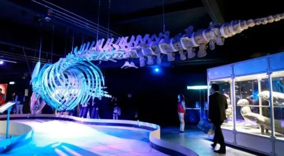 Explorando el Universo en Universum Ciudad de México