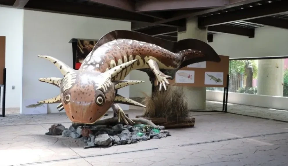 Museo del Ajolote: Celebrando y cultivado la cultura de nuestro país