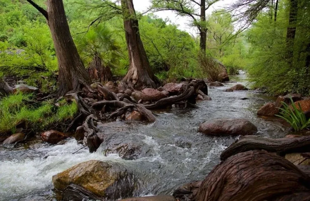 Río Cuchujaqui Álamos, Sonora. Foto: México Desconocido