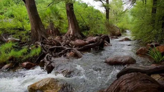Río Cuchujaqui Álamos, Sonora. Foto: México Desconocido