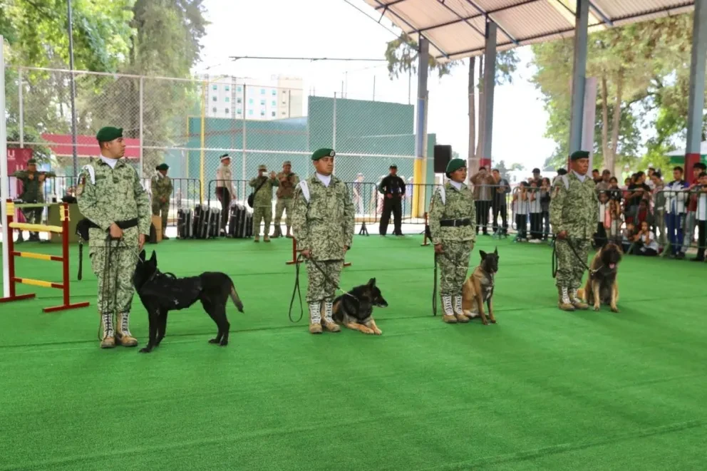 En Uruapan ya puedes ir a ver la Exposición la Gran Fuerza de México