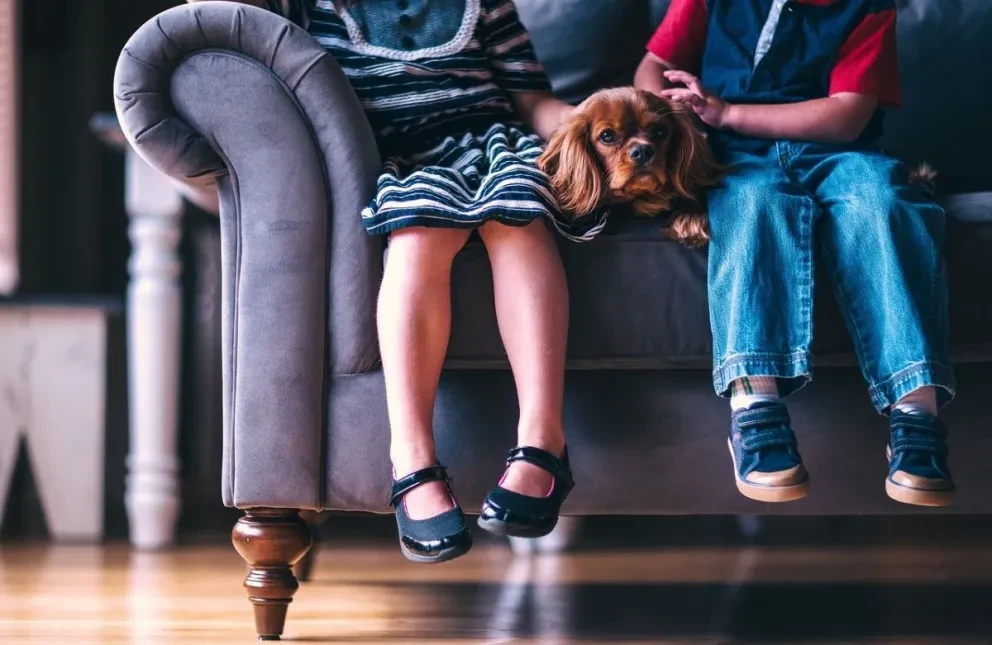 Enseña a tus hijos menores de edad a comenzar a invertir con Cetes Directo Niños. Foto: Pexels