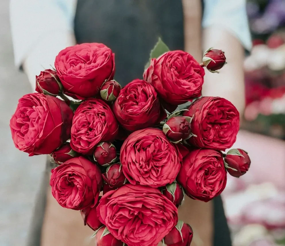 Flores.